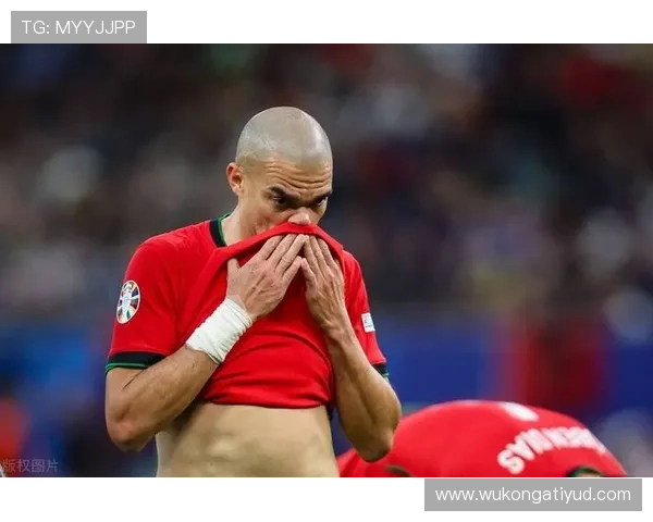 从葡超主力到英超重金引援：帕利尼亚的生涯跃迁