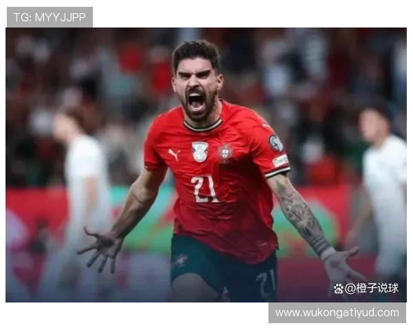 内维斯与罗德里：控场后腰的战术角色及体系适配解析