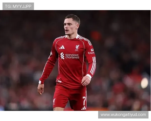 维尔茨与哈弗茨：战术角色及进攻效率对比分析